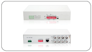 4E1/ETH(GFP)f(xi)hD(zhun)Q